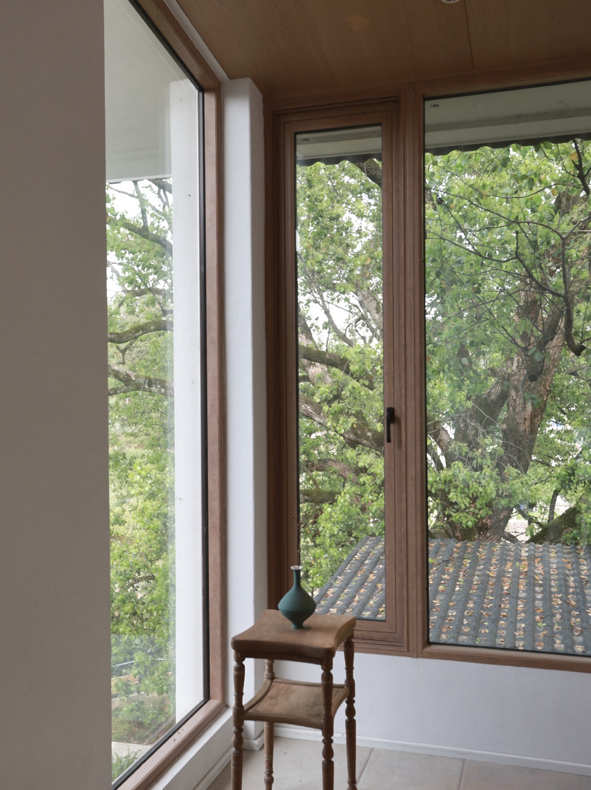 TreeHouse 临窗空间与古树