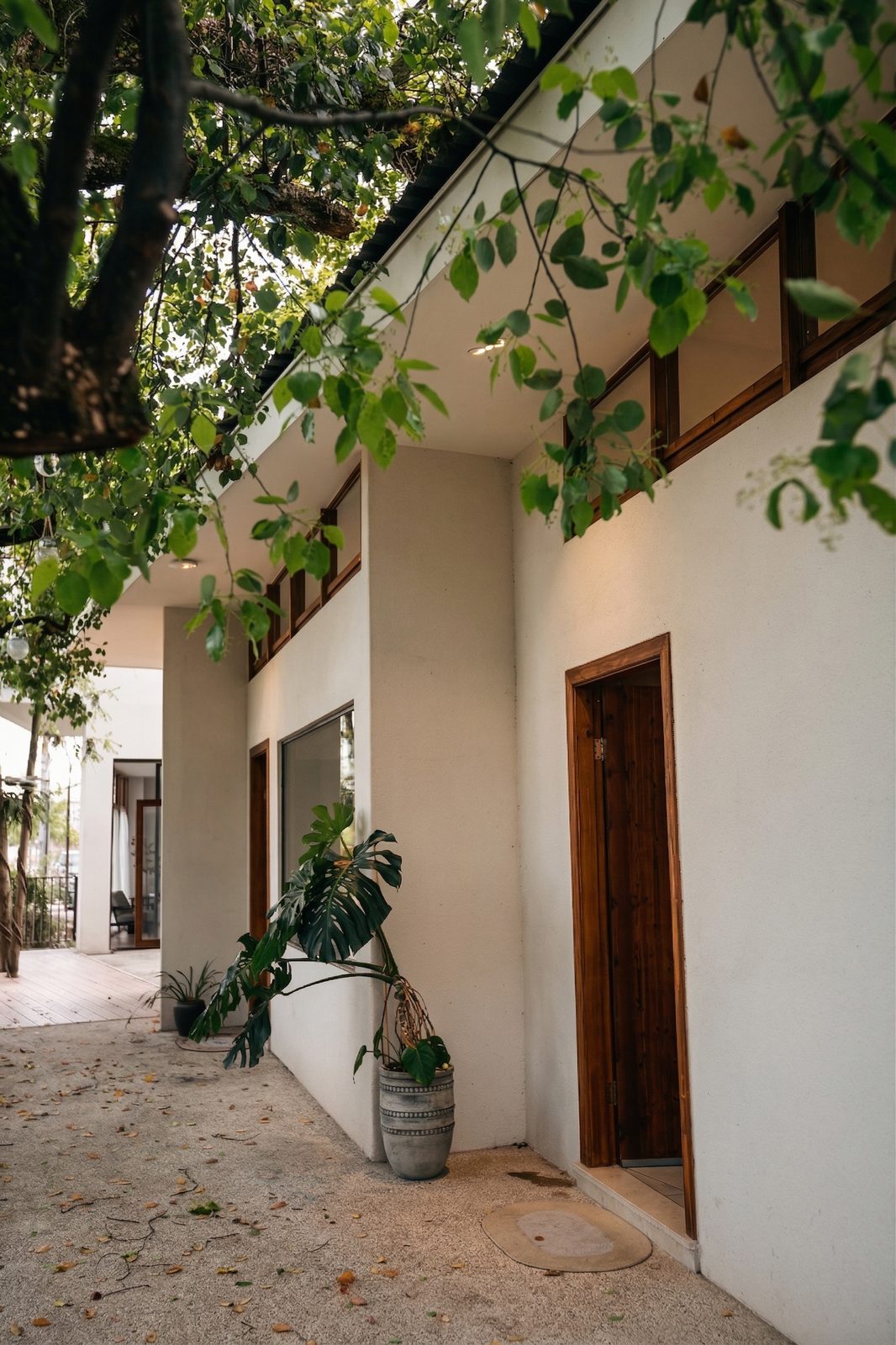 树荫下的 TreeHouse 建筑入口